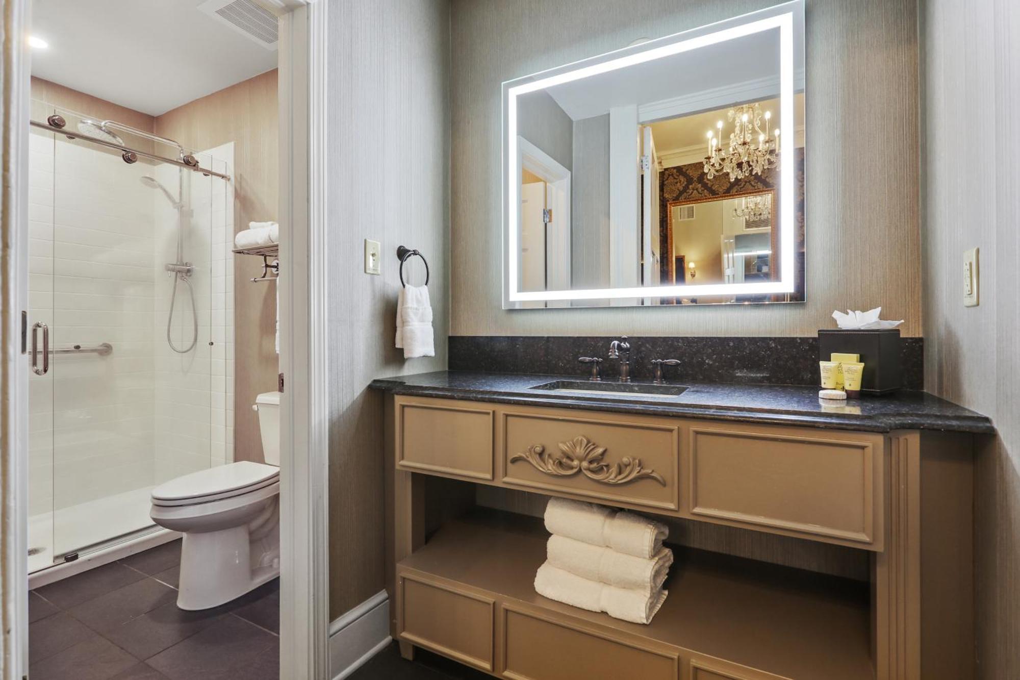 Place D'Armes Hotel New Orleans Esterno foto
